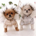 Load image into Gallery viewer, Metallic Silver/Gold Faux Fur Hooded Dog Coat - Southlake Paws
