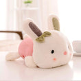Load image into Gallery viewer, Bunny Plushies