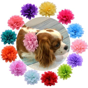 Floral Dog Collar Sliders
