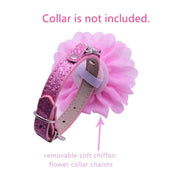 Floral Dog Collar Sliders