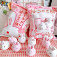 Load image into Gallery viewer, Bunny PIllow Plushies
