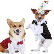 Pinstripe Dog Suit Vest Set