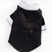 Classic Black Tie Dog Tuxedo