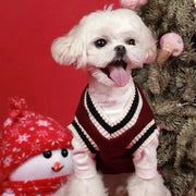 Preppy V-neck College Dog Sweater Pullover