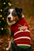 Load image into Gallery viewer, Parisian Pet 'Reindeer Sweater' for Dogs – Stylish & Cozy Christmas Sweater, Red