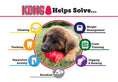 Load image into Gallery viewer, Puppy KONG Treat-Stuffing Chew Dog Toy