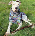 Load image into Gallery viewer, Purple Woodstock Dog Sweater