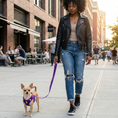 Load image into Gallery viewer, EcoBark Step In Dog Harness - XXXS to Small Breeds- Reflective Soft Mesh Harness for Teacup, Small Dogs and Puppies / Purple