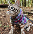 Load image into Gallery viewer, Purple Woodstock Dog Sweater