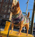Load image into Gallery viewer, Purple Woodstock Dog Sweater