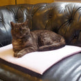 Load image into Gallery viewer, PurrPadd® Cat Bed