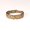 Load image into Gallery viewer, Leather Dog Collar in Mud - Pyramid, Made in Italy