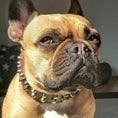 Load image into Gallery viewer, "Rocky" collar
