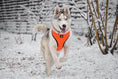 Load image into Gallery viewer, Over-the-Head Dog Harnesses - Max Comfort - 18 Colors & Patterns / Orange