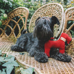 Orange cotton dog gift toy