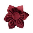 Load image into Gallery viewer, Red Wine Velvet Set