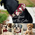 Load image into Gallery viewer, Red Wine Velvet Set