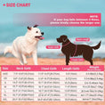 Load image into Gallery viewer, Floral Dog Life Jacket - Southlake Paws