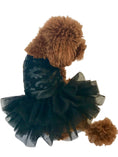 Load image into Gallery viewer, Rocker Appliqué Mesh Fufu Tutu, Black