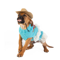 Load image into Gallery viewer, Rodeo Dog Sweater
