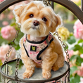 Load image into Gallery viewer, EcoBark Step In Dog Harness - XXXS to Small Breeds- Reflective Soft Mesh Harness for Teacup, Small Dogs and Puppies / French Floral