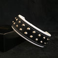 Load image into Gallery viewer, "Boston" collar
