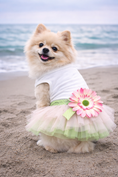 Load image into Gallery viewer, Parisian Pet 'Sunflower Dress' for Dogs and Cats, Designer Sleeveless, Summer Pet Apparel, Green