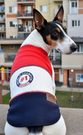 Load image into Gallery viewer, Parisian Pet 'World Champion Tank' Dog & Cat Shirt – Comfortable Embroidered Cotton Tank, Perfect for Vacation – Red