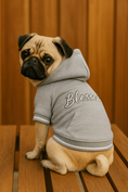 Load image into Gallery viewer, Parisian Pet 'Blessed Hoodie' in Gray - Trendy Pet Hoodie for Dogs & Cats, Perfect for Fall & Winter