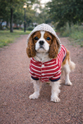 Load image into Gallery viewer, Parisian Pet 'Striped Pom Pom Hoodie', Red – Soft & Fashionable Pet Hoodie with Playful Pom Pom Design