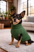 Load image into Gallery viewer, Parisian Pet 'Cable Knit Sweater' - Warm & Stylish Pet Sweater in Green for Dogs & Cats