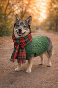 Load image into Gallery viewer, Parisian Pet 'Cable Knit Sweater' - Warm & Stylish Pet Sweater in Green for Dogs & Cats