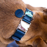 Saint Barth dog collar (quick release)