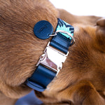 Saint Barth dog collar (quick release)
