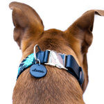Saint Barth dog collar (quick release)
