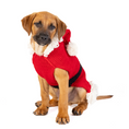 Load image into Gallery viewer, Santa Dog Sweater