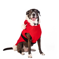 Load image into Gallery viewer, Santa Dog Sweater