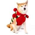 Load image into Gallery viewer, Christmas Elf Holiday Dog Sweater