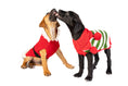 Load image into Gallery viewer, Christmas Elf Holiday Dog Sweater