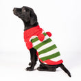 Load image into Gallery viewer, Christmas Elf Holiday Dog Sweater