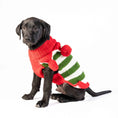 Load image into Gallery viewer, Christmas Elf Holiday Dog Sweater