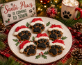 Load image into Gallery viewer, Santa Paws Organic Dog Treats