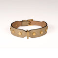 Load image into Gallery viewer, Leather Dog Collar in Mud - Stud Screw, Made in Italy