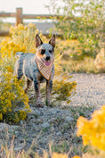 Load image into Gallery viewer, Seasoned Plaid Everyday Bandana