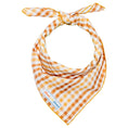 Load image into Gallery viewer, Seasoned Plaid Everyday Bandana