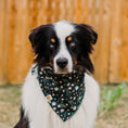 Load image into Gallery viewer, Forest Fauna Dog Bandana