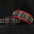 Load image into Gallery viewer, "Silver Giant" collar