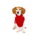 Load image into Gallery viewer, Black Sheep Dog Sweater
