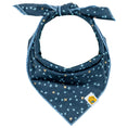 Load image into Gallery viewer, Shimmer Tonight Bandana