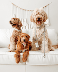 Load image into Gallery viewer, Shine Multiway Metallic Leather Leash & Poop Bag Pouch